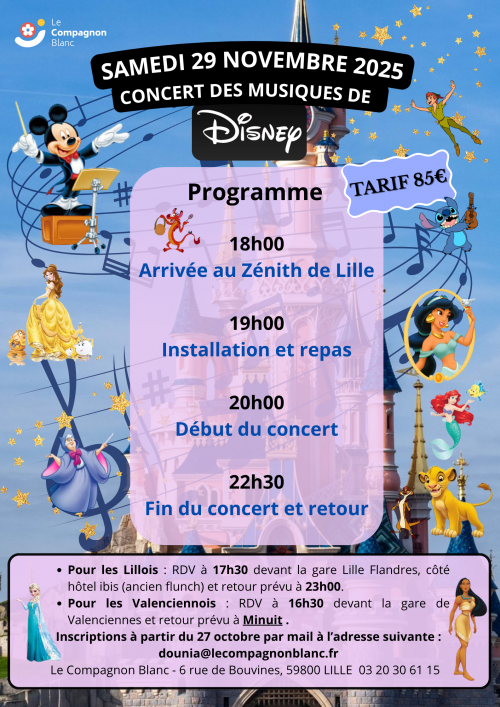 AFFICHE DISNEY EN CONCERT